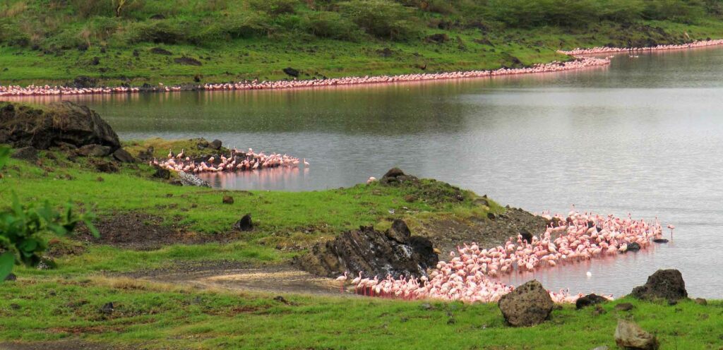 Arusha National Park, Tanzania, Africa