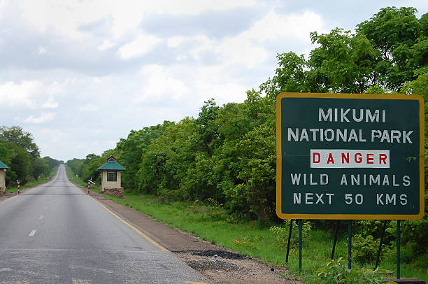 Mikumi National Park - Tanzania