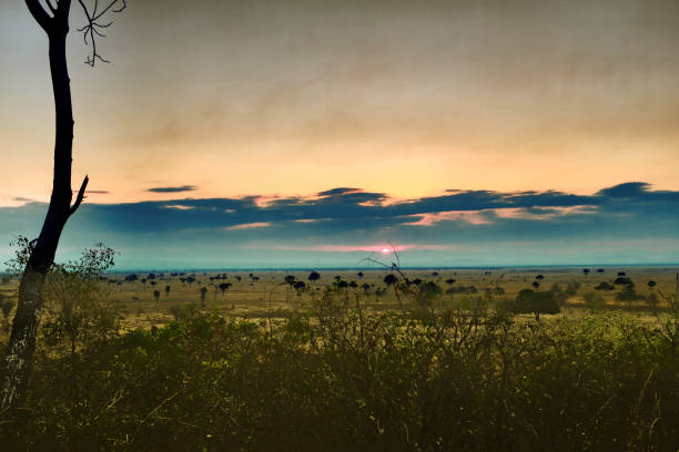 Beautiful sunset over the savannah in Mikumi National Park, Tanzania.