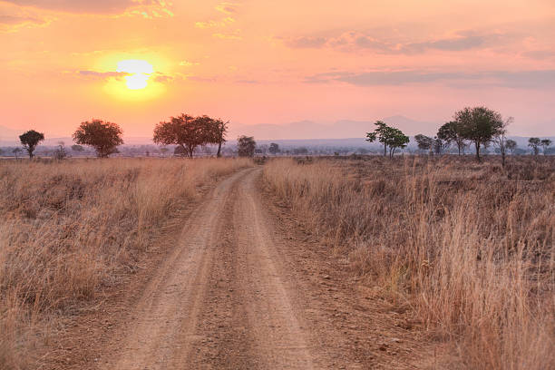 Sunset over the dry African Savannah, Mikumi, Tanzania