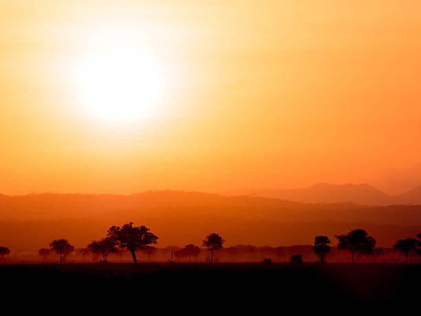 Sunset over savanna in Tanzania, Africa.