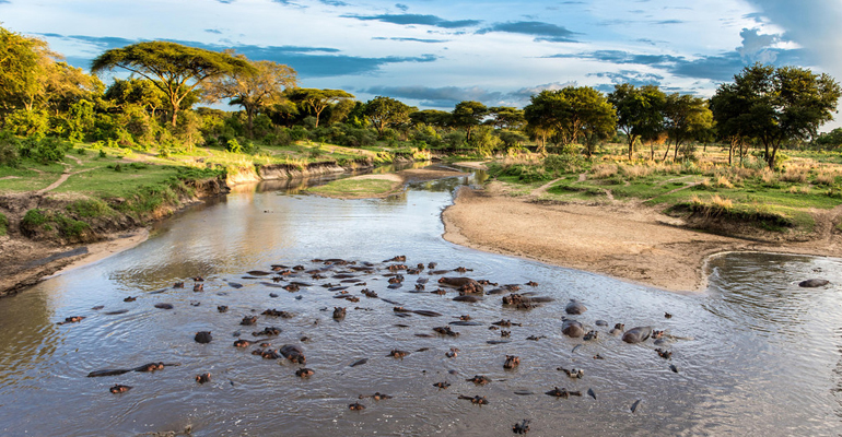 River in Nyerere National Park, Tanzania, Africa