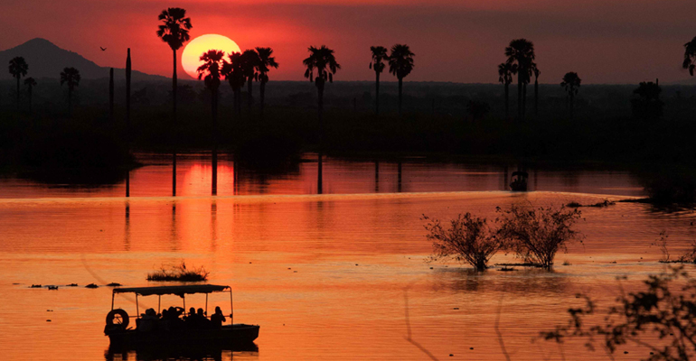 Sunset in Nyerere National Park, Tanzania, Africa