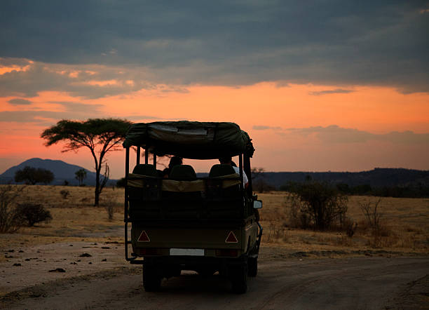 Safari jeep in African sunset.