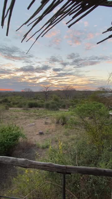 View of the sunrise at dawn over the African savanna from a balcony with a railing and a natural roof while on safari in Ruaha National Park, Tanzania