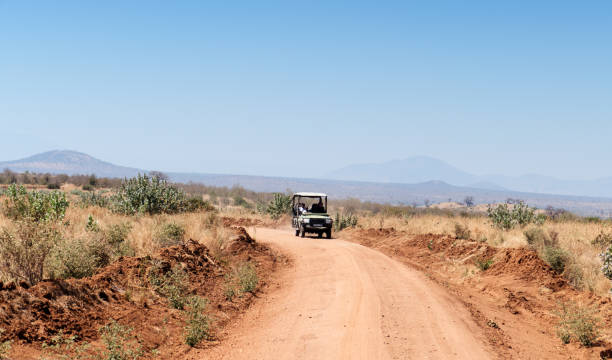 Ruaha National Park,Tanzania - August 04,02018: A safari vehicle is driving on the red earth dirt road in the Ruaha National Park, during a morning game drive.