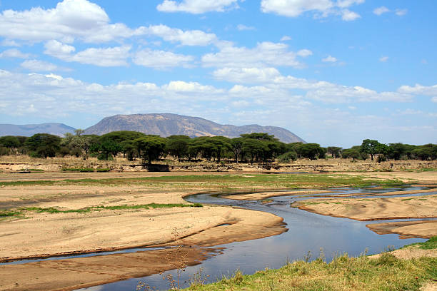 River in Ruaha National Park, Tanzania