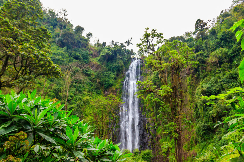 View of Materuni waterfall on the foot of the Kilimanjaro mountain in Tanzania