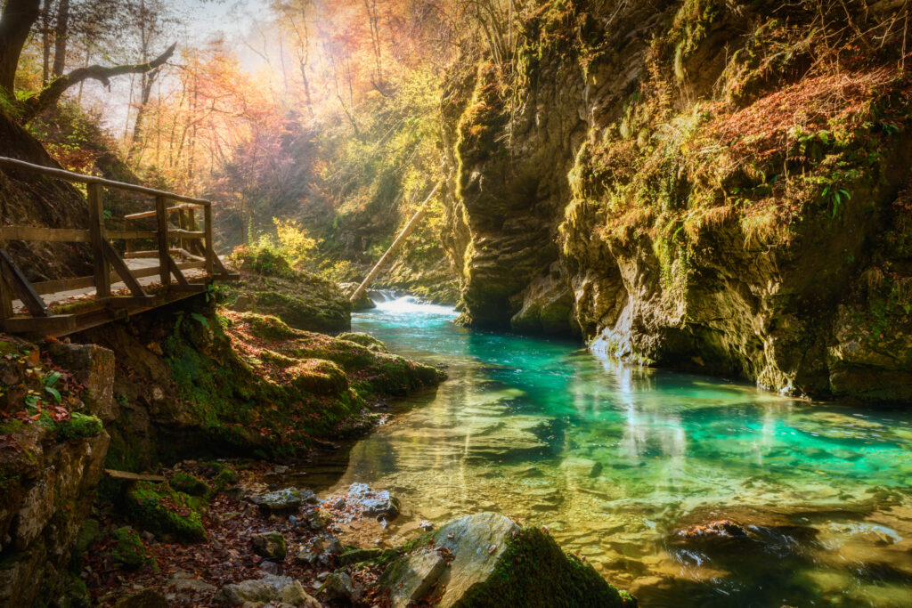 Famous and beloved canyon of Vintgar Gorge with wooden path in beautiful autumn colors near Lake Bled of Triglav National Park in Slovenia