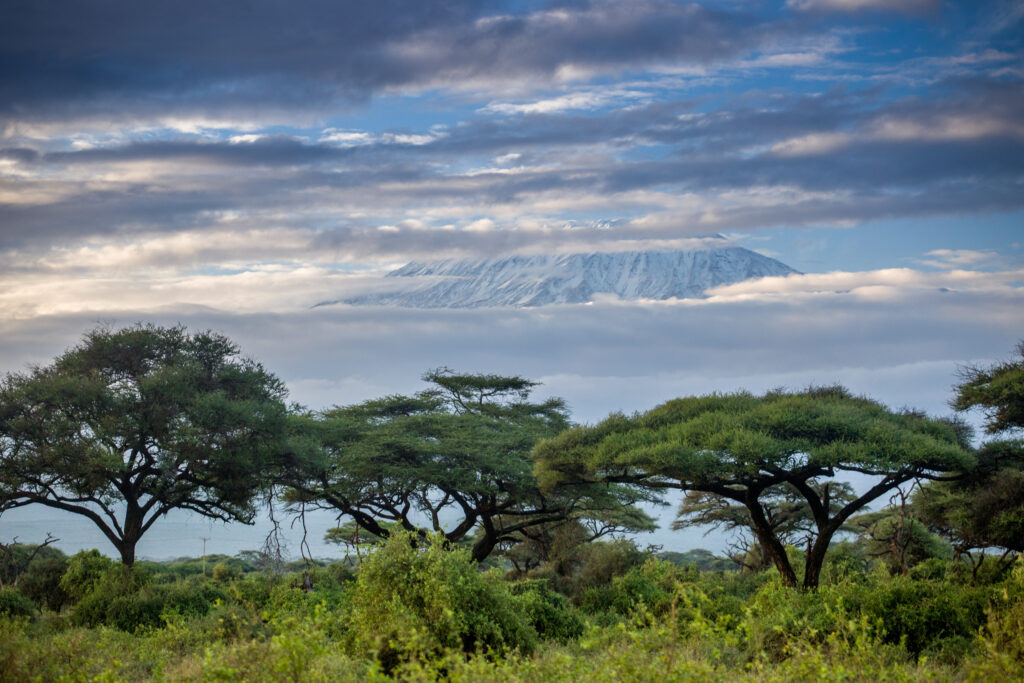 Landscape of Amboseli National Park with majestic and breathtaking shape of Kilimanjaro volcano in the background