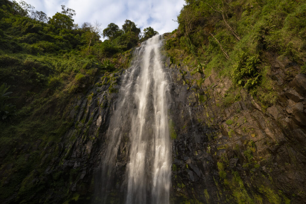 A sunlit waterfall on the jungle covered slopes of mount Kilimanjaro, Tanzania