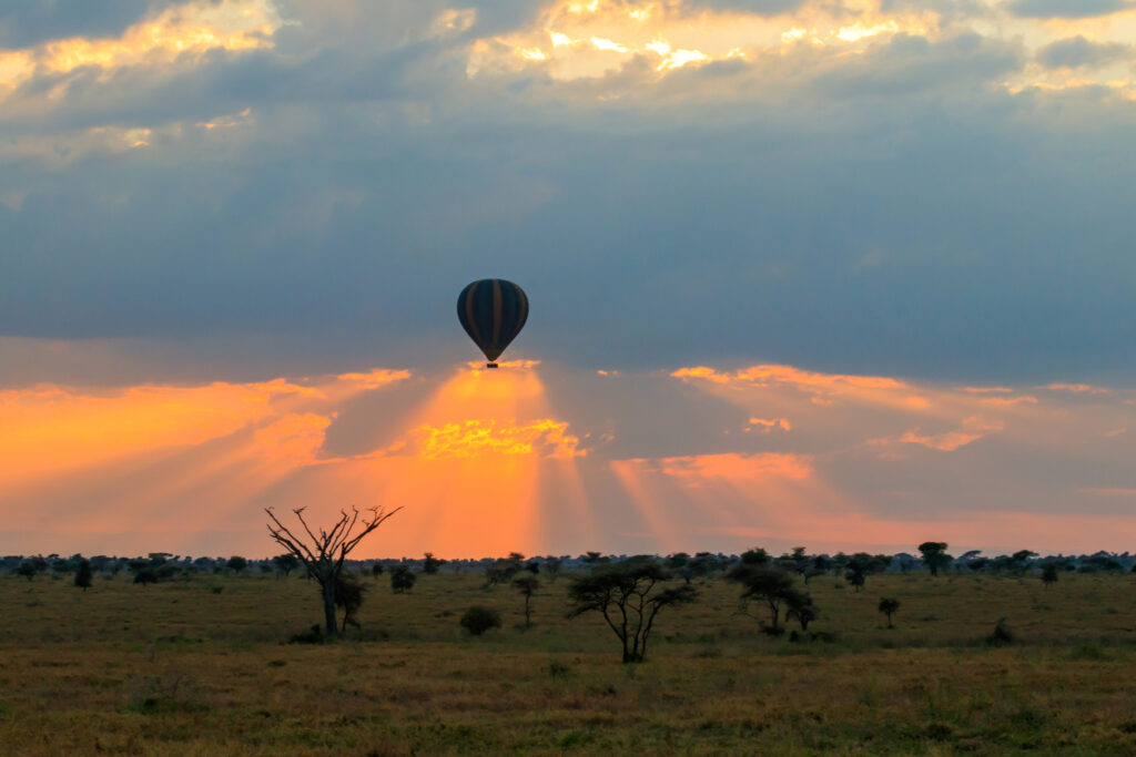 Hot air balloon over the Serengeti National Park in Tanzania at sunrise