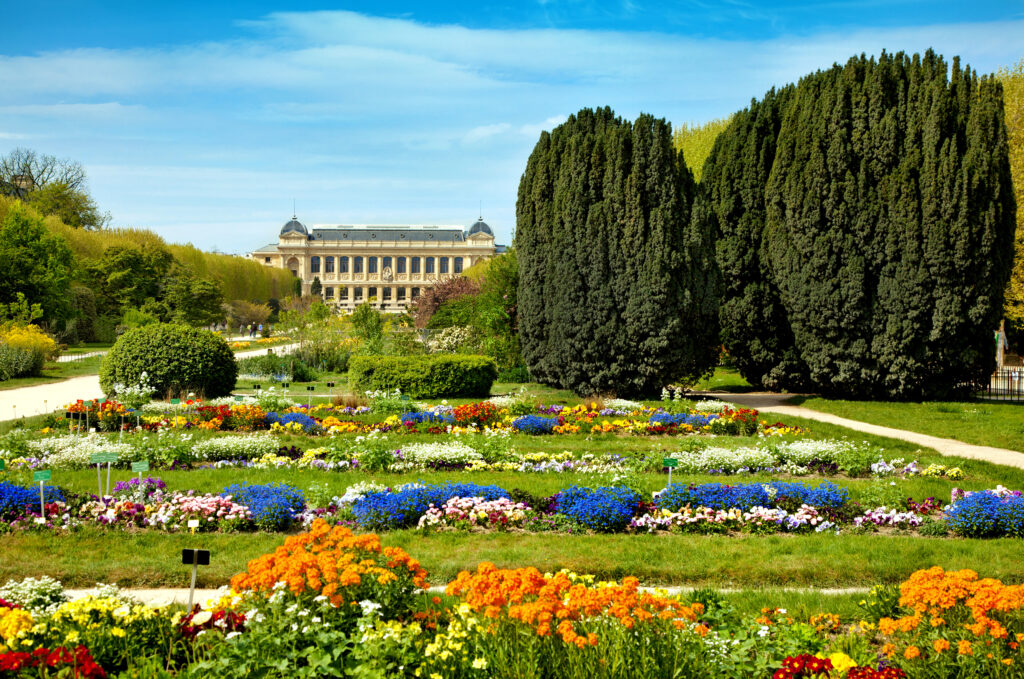 Muséum national d'Histoire naturelle (MNHN) is the National Museum of Natural History in Paris,  France. Jardin des Plantes in the spring