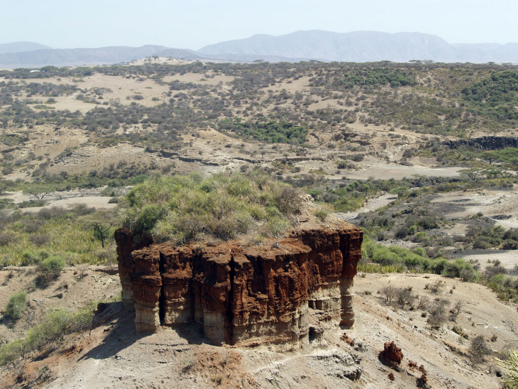 Olduvai Gorge (Oldupai Gorge) is where Dr Leakey discovered an important paleoanthropological site.