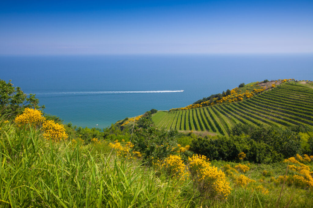 Panorama towards the Mediterranean Sea in the Province of Pesaro